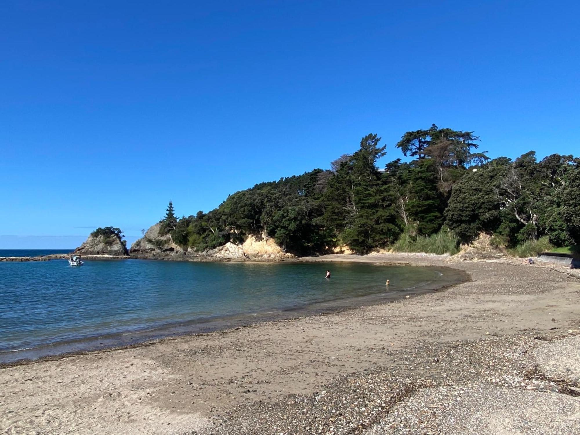 Kereru Cabin - Spectacular Seaviews, Rustic, Glamping Eco Adventure Palm Beach Zewnętrze zdjęcie