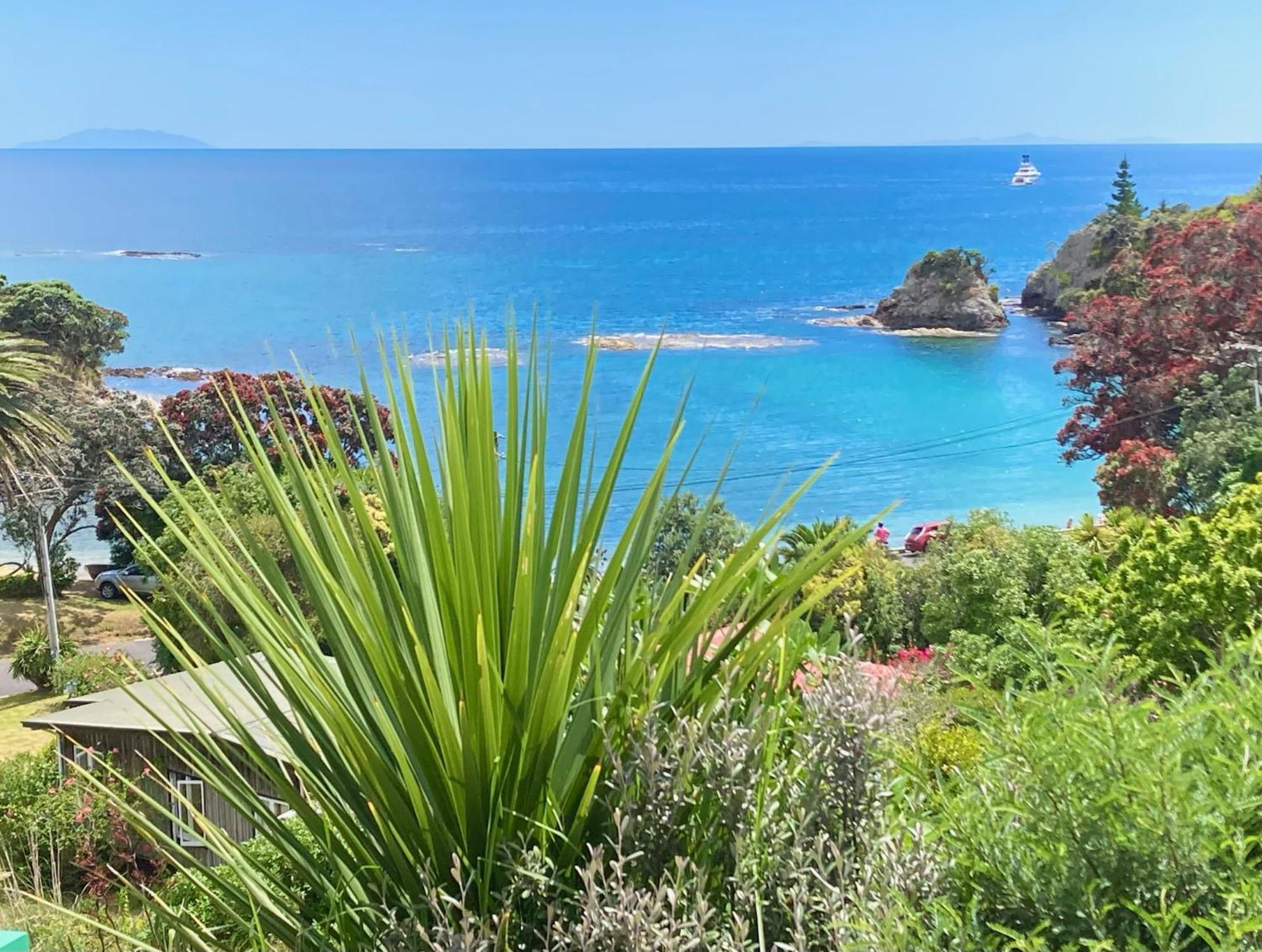 Kereru Cabin - Spectacular Seaviews, Rustic, Glamping Eco Adventure Palm Beach Zewnętrze zdjęcie