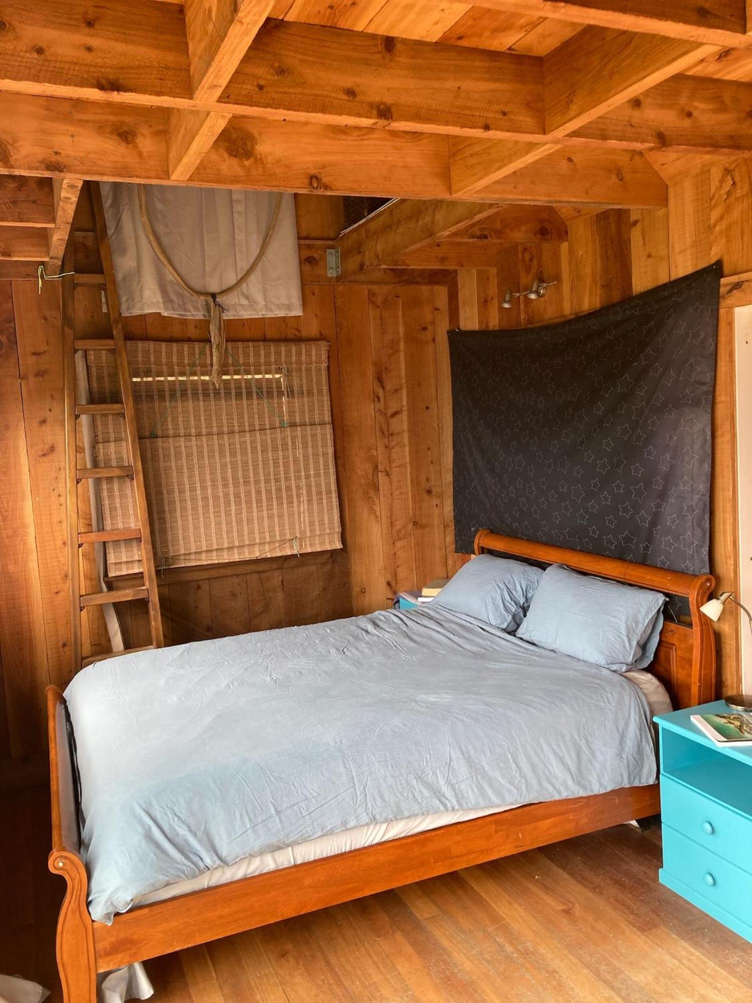 Kereru Cabin - Spectacular Seaviews, Rustic, Glamping Eco Adventure Palm Beach Zewnętrze zdjęcie